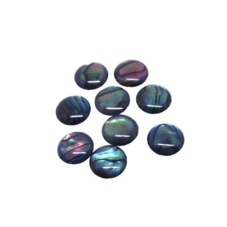 Cabochon Abalone Paua Shell rund 8mm 1 Stück