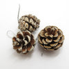 Kiefern Zapfen 3-4cm weiss mit Schlaufe 9 Stk.