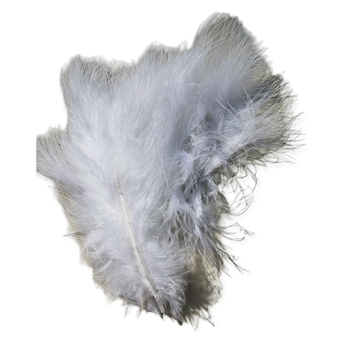 Federn flauschig  weiss   20~190 x 30~56mm ca. 20 Stk.