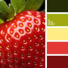 Mix Color Mai Künstlerin G. Kellenberger – Bild 5
