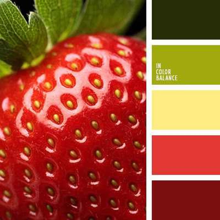 Mix Color Mai Künstlerin G. Kellenberger – Bild 5