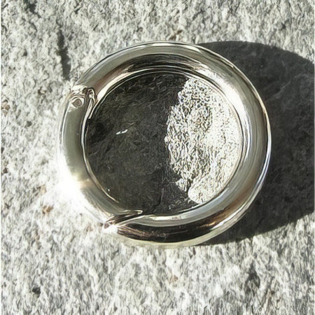 Klapp-Karabiner Rund ca.25x4mm  Platinfarben 1 Stück