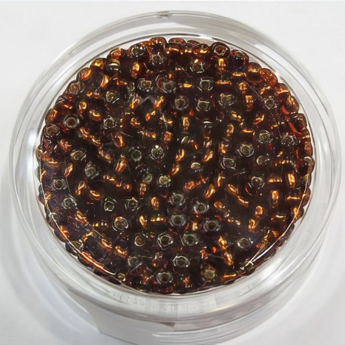 2.5mm Rocaille Japan braun 8gr.