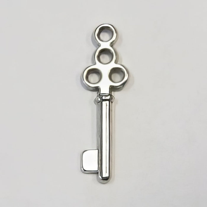 Schlüssel Traube 21.5x6.5mm 1 Stück LE