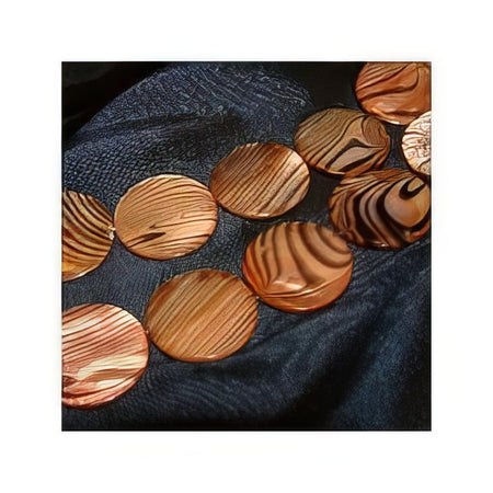 Shell Zebra Münze Braun 20mm 1 Stück